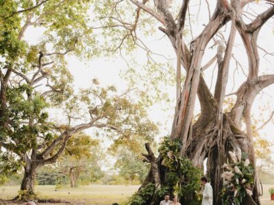 Guedes Photographers